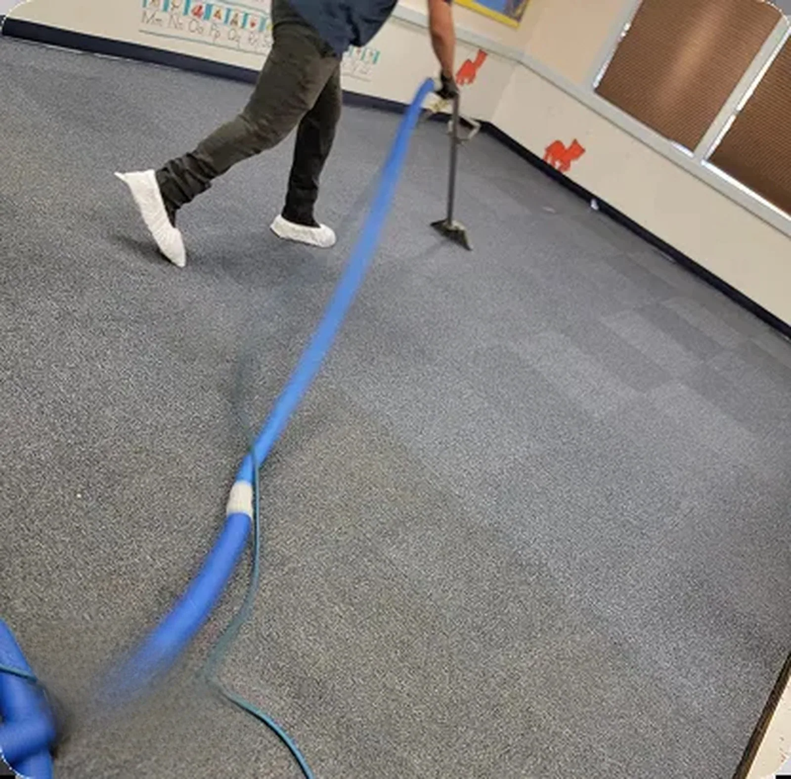 Carpet shampoo cleaning service in Campbelltown